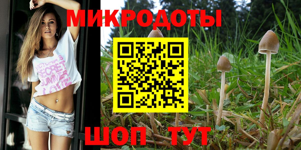 Мелеуз  Псилоцибиновые грибы мухоморы  Вход с VPN 
